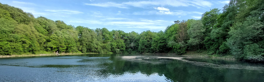 FotoWide1