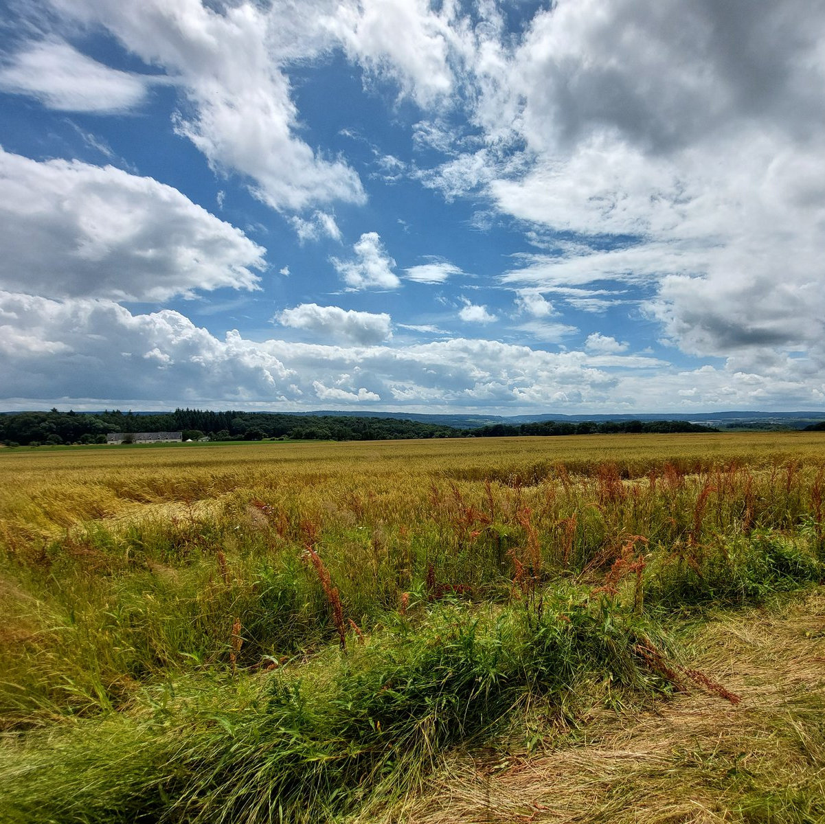 FotoMultiWide1-Frankreich-4