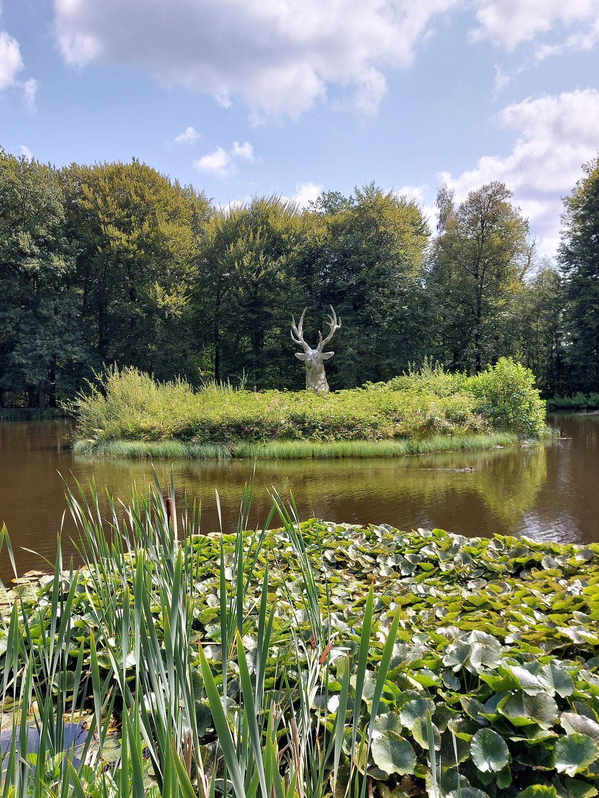 FotoMultiWide1-Clemenswerth2