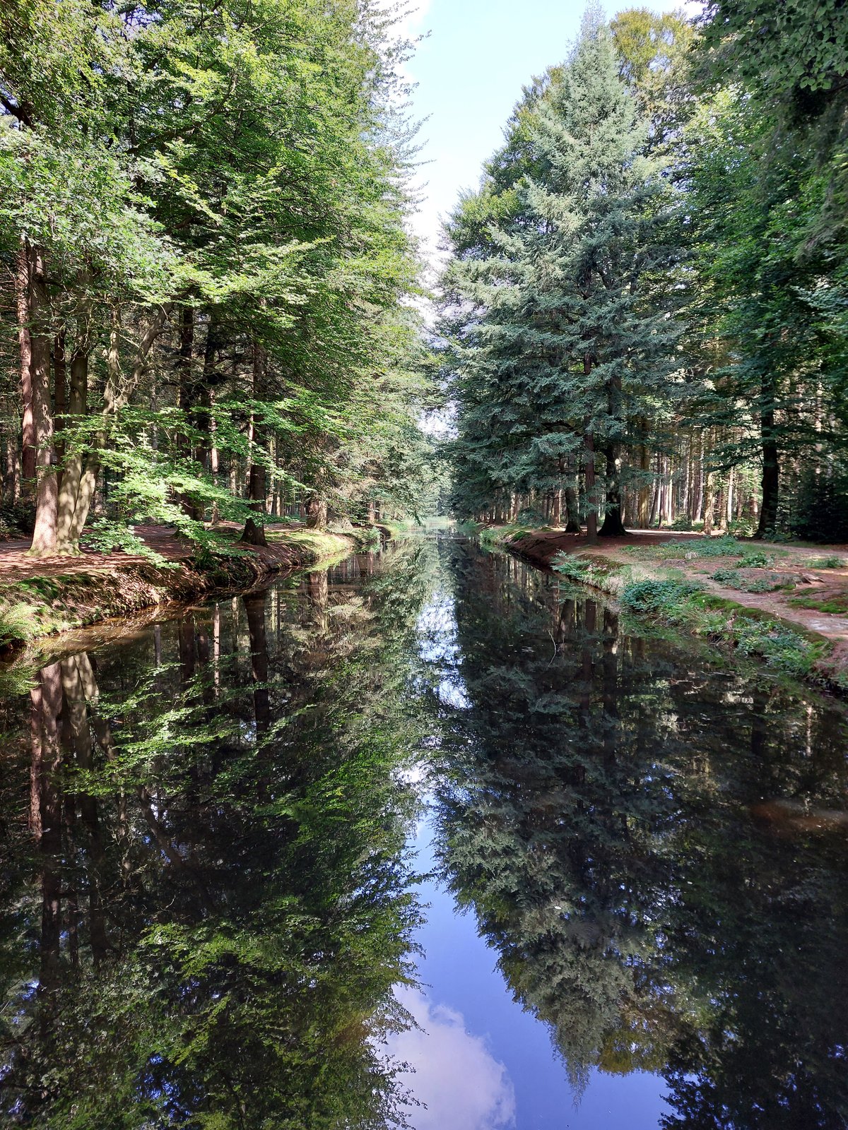 FotoMultiWide1-Clemenswerth3