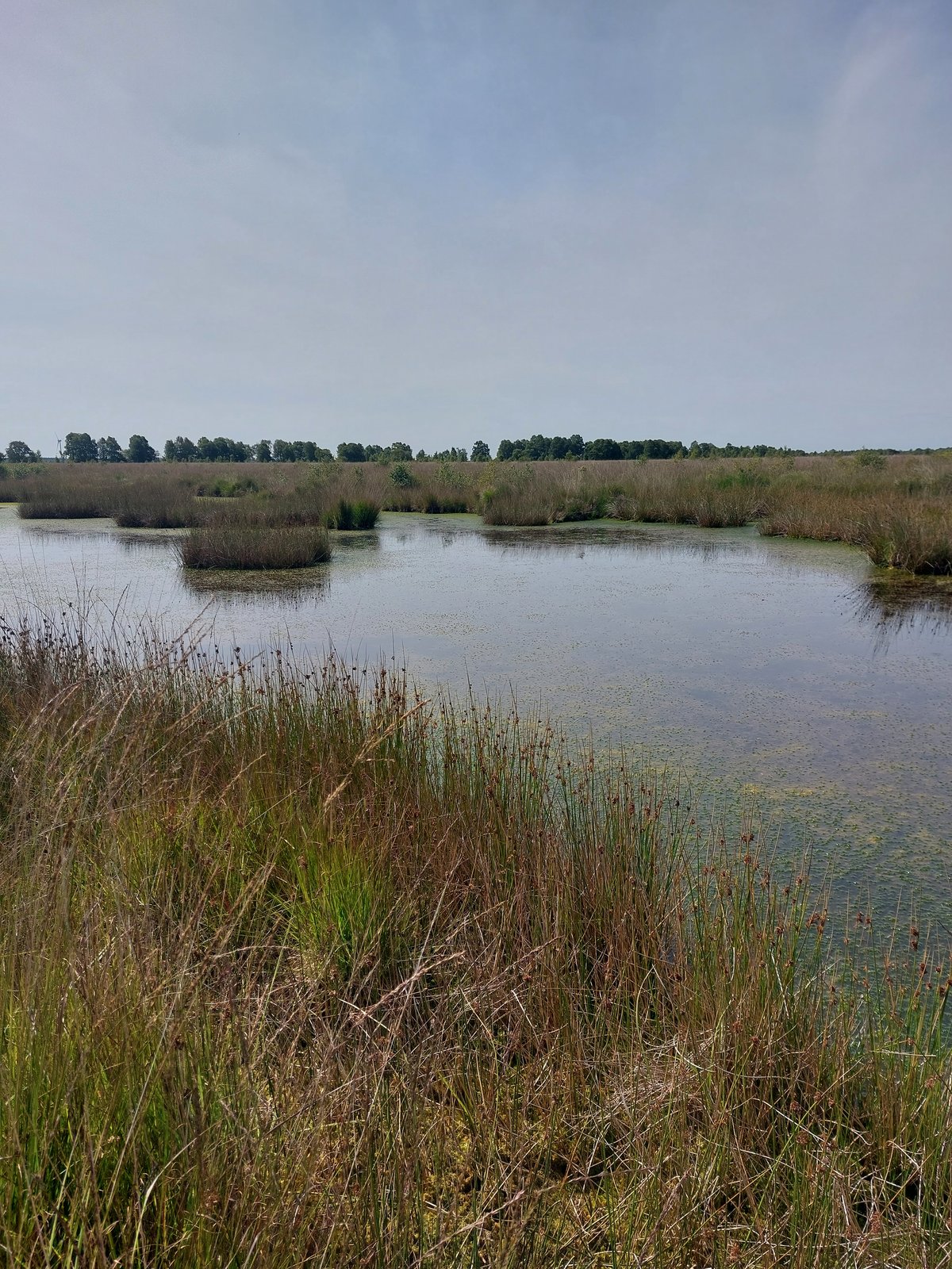 FotoMultiWide1-Ewiges-Meer2