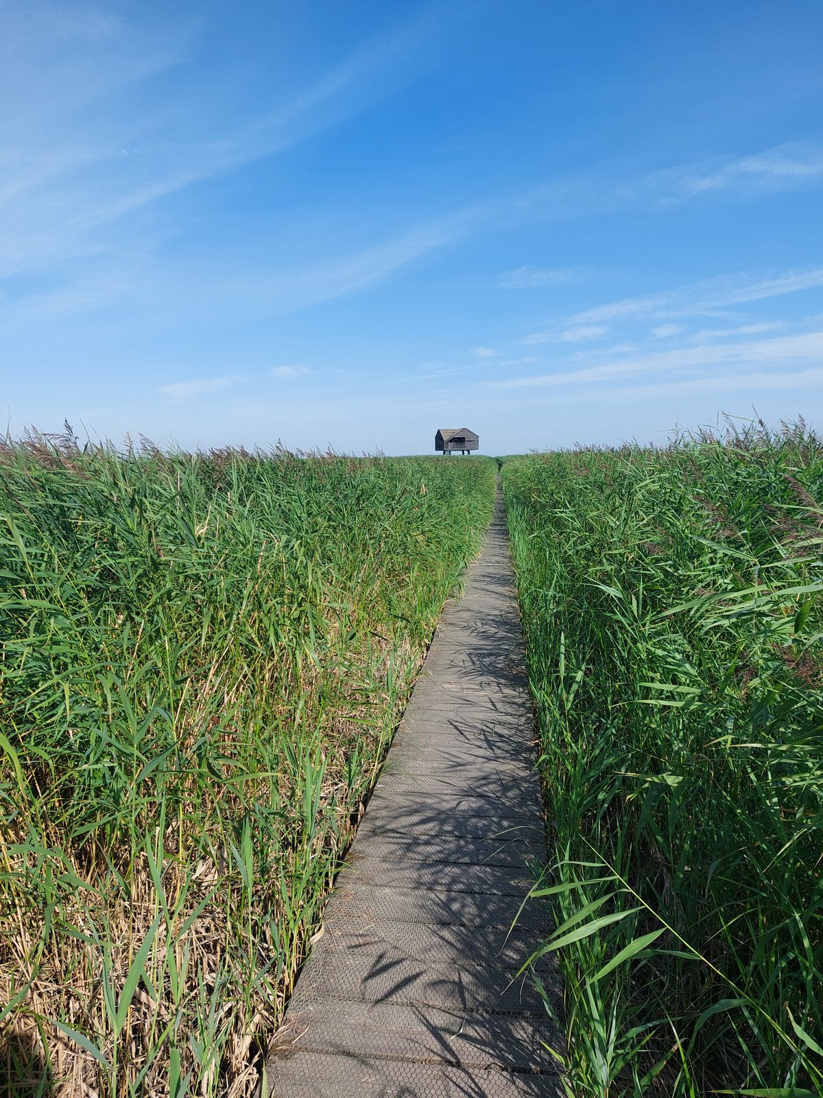 FotoMultiWide1-Kiekkaaste