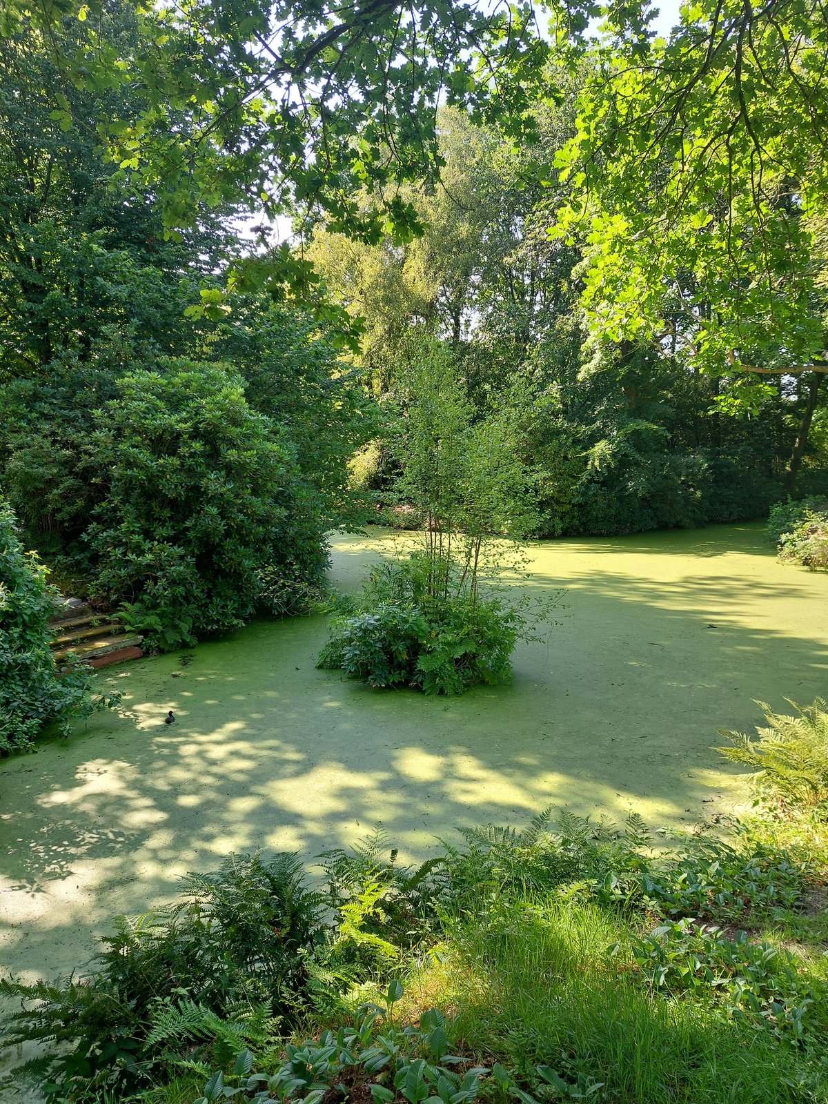 FotoMultiWide1-Luetetsburg2