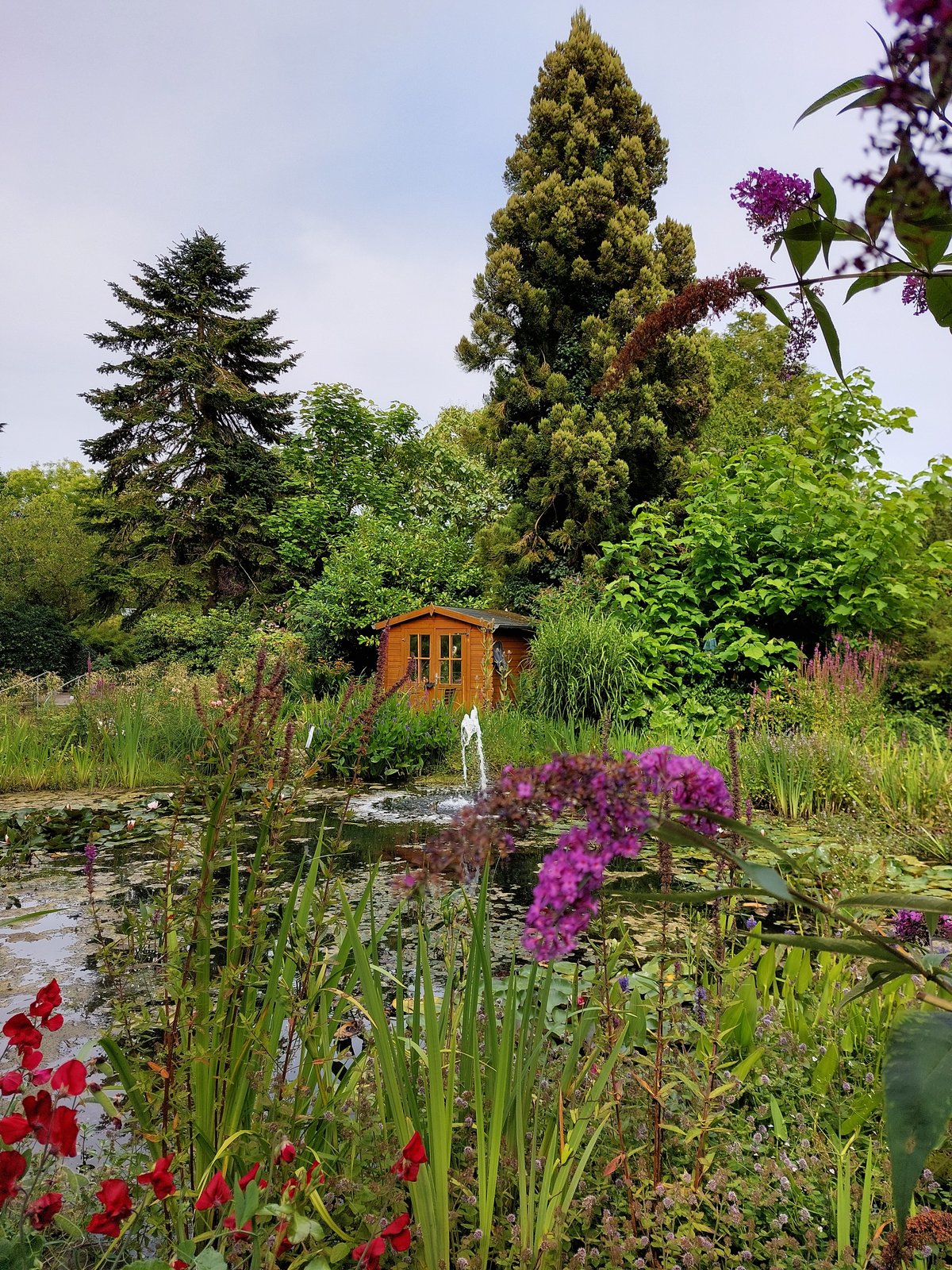 FotoMultiWide1-Wilhelmshafen1