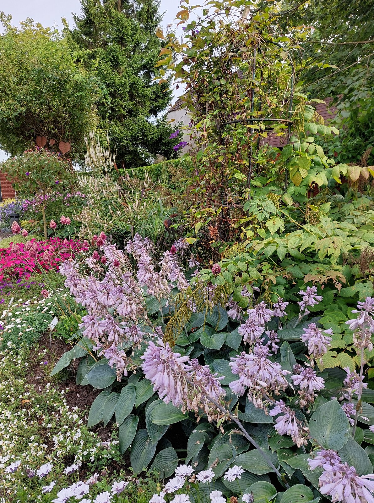 FotoMultiWide1-Wilhelmshafen2