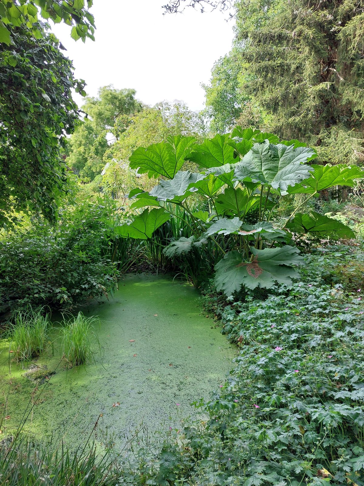 FotoMultiWide1-Wilhelmshafen4