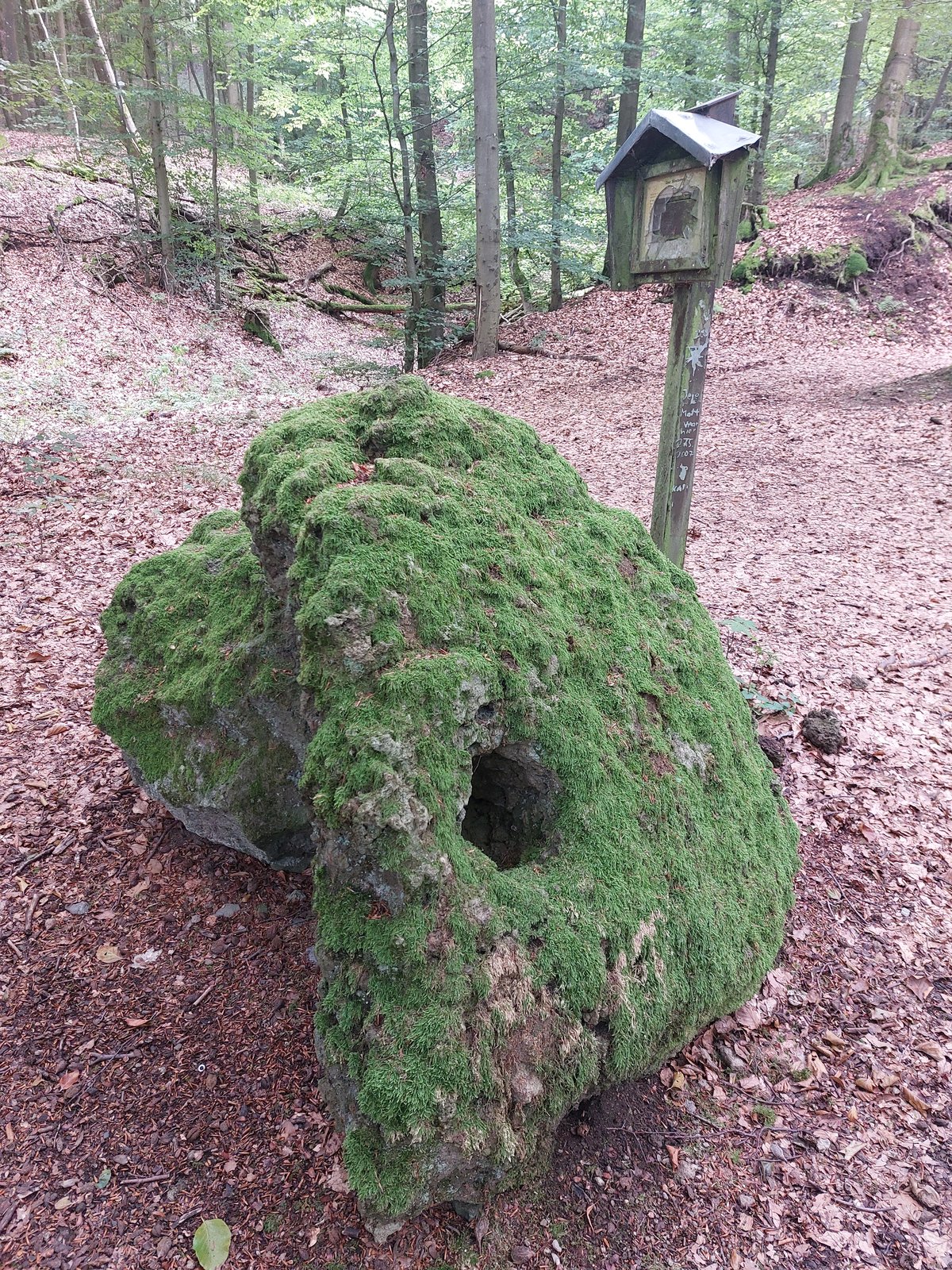 FotoMultiWide1-Genoveva5