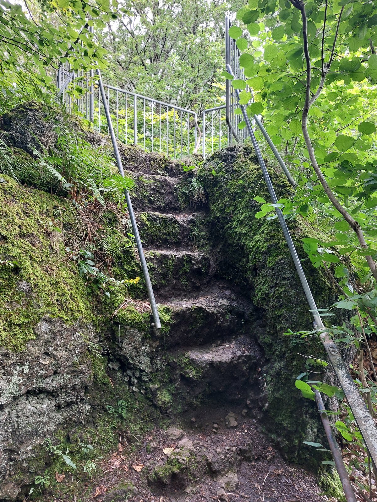 FotoMultiWide1-Genoveva6