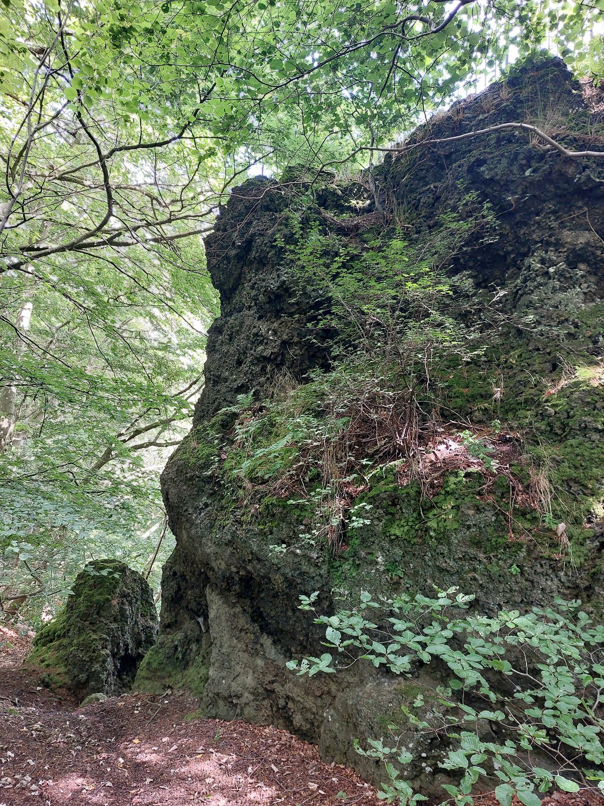 FotoMultiWide1-Genoveva9