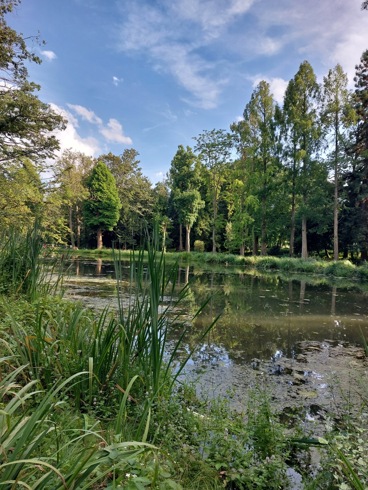 FotoMultiWide1-Paffenberg5