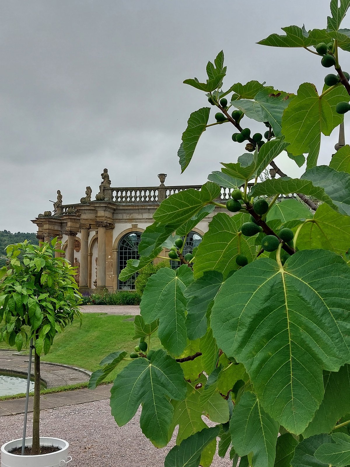 FotoMultiWide1-Weikersheim13