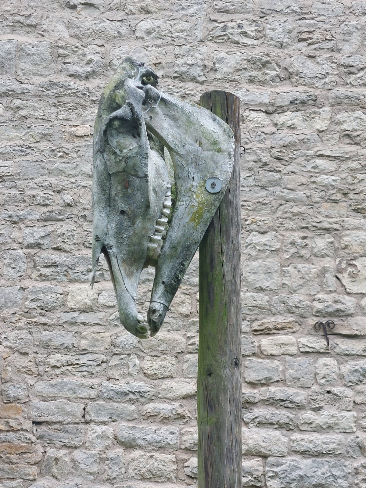 FotoMultiWide1-Weikersheim7