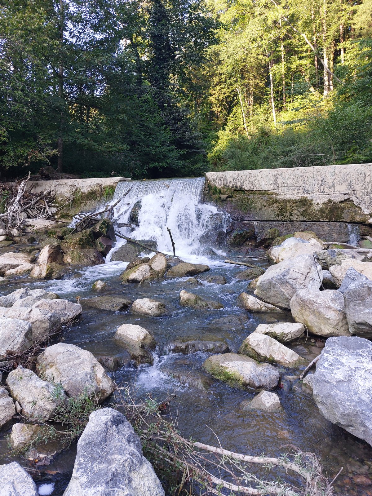 FotoMultiWide1-Friedrichshafen-1