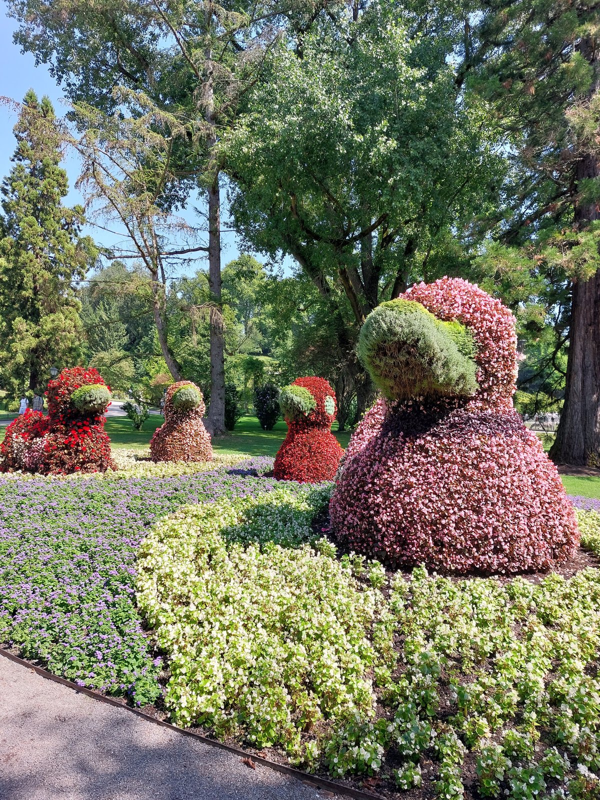 FotoMultiWide1-Mainau-3