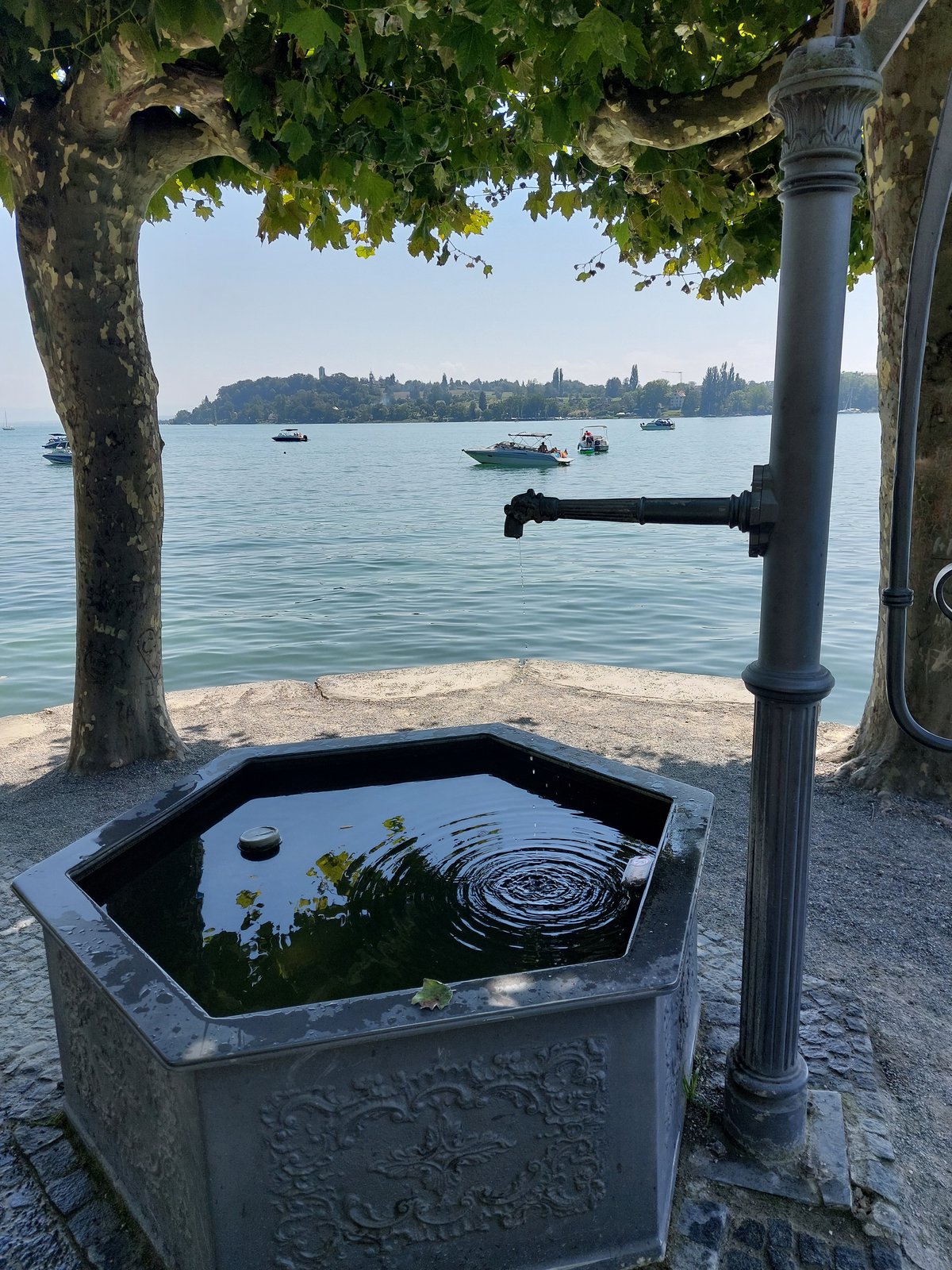 FotoMultiWide1-Mainau-7