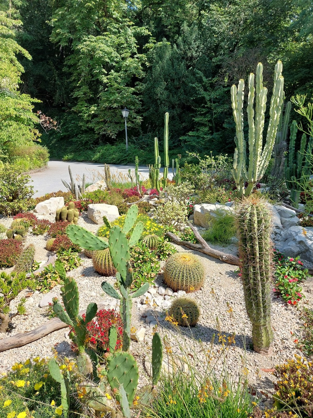 FotoMultiWide1-Mainau-9