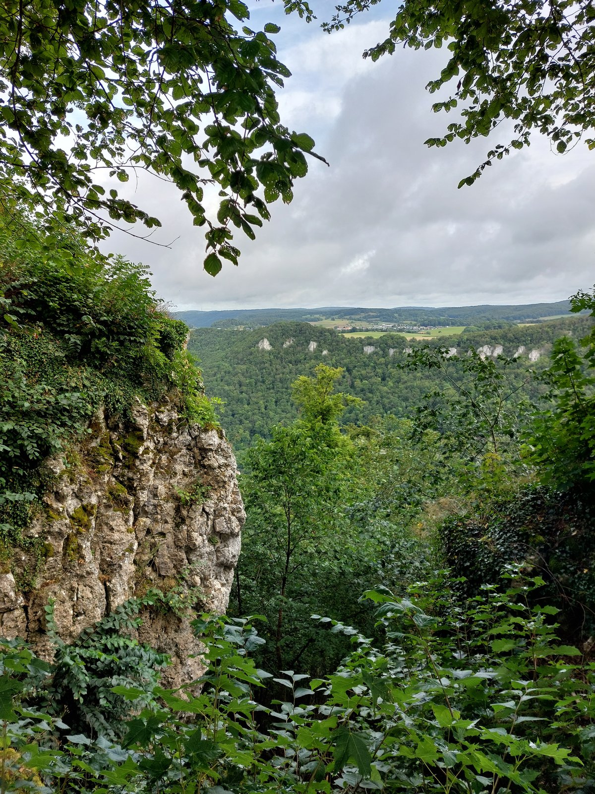 FotoMultiWide1-Lichtenstein-7