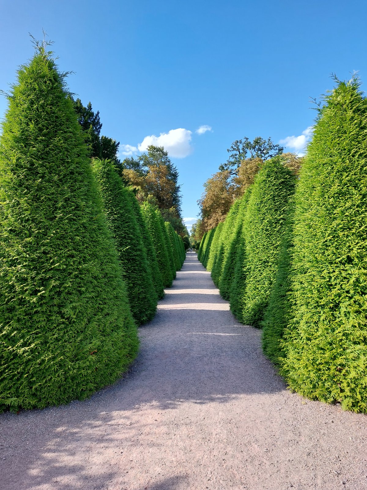 FotoMultiWide1-Schwetzingen-18