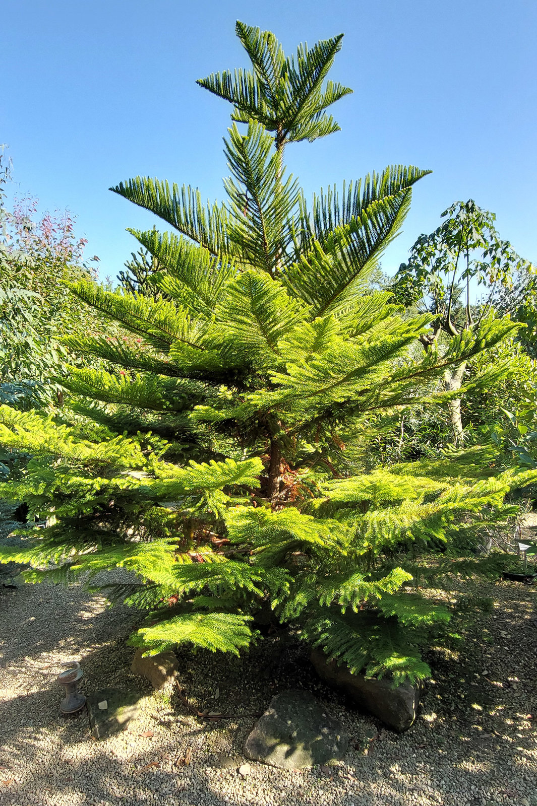 FotoMultiWide1-Muenster-11