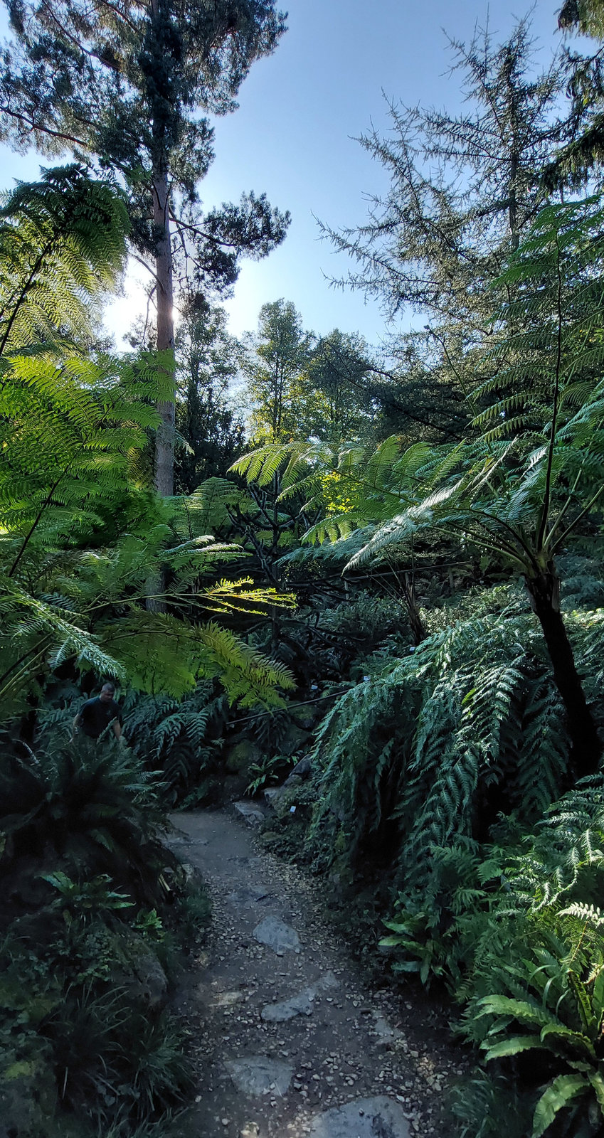 FotoMultiWide1-Muenster-12