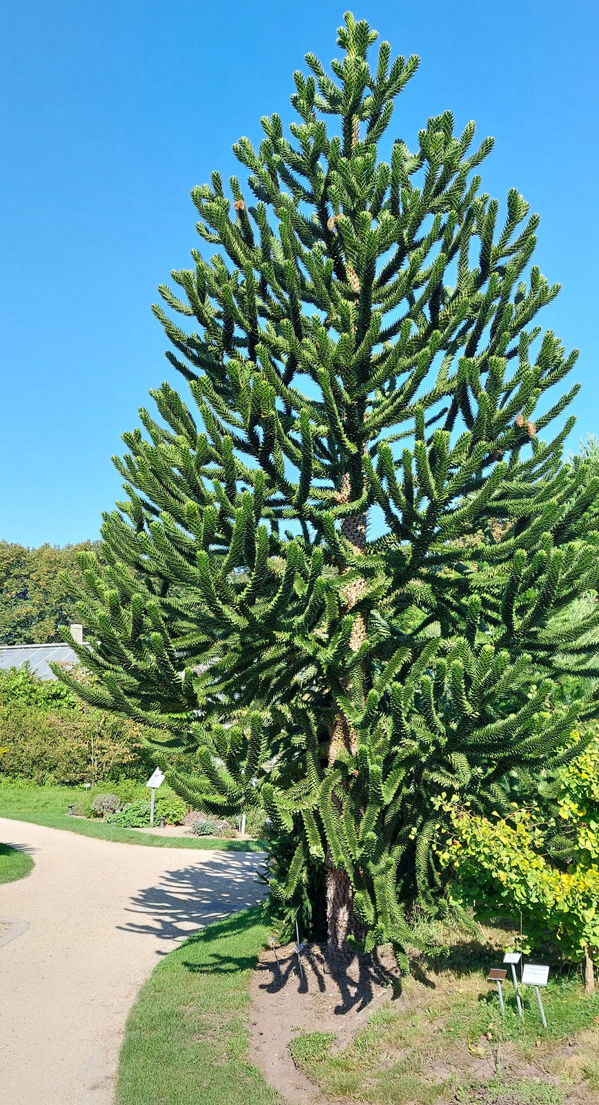 FotoMultiWide1-Muenster-13