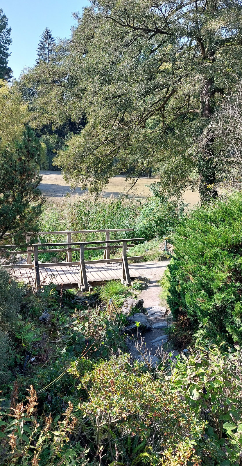 FotoMultiWide1-Muenster-14