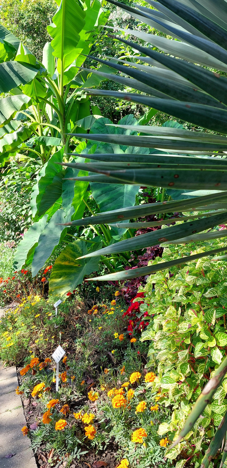 FotoMultiWide1-Muenster-15