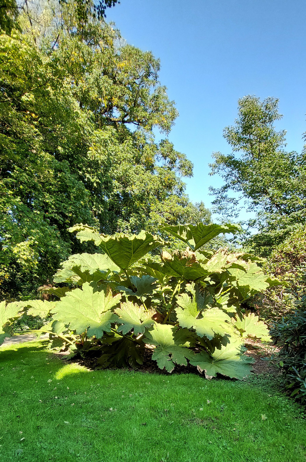 FotoMultiWide1-Muenster-17