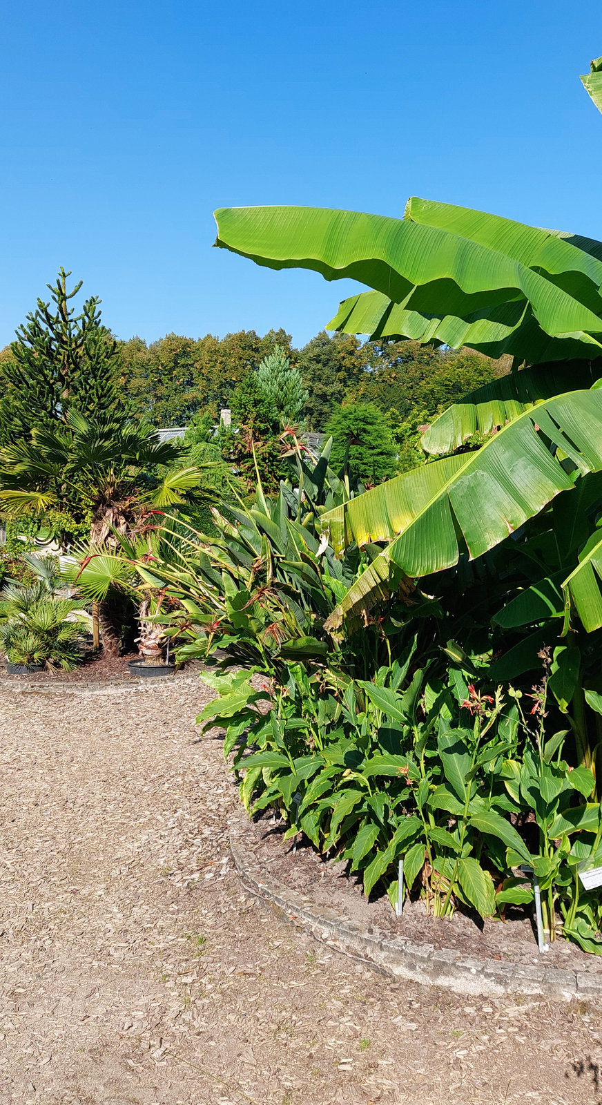 FotoMultiWide1-Muenster-18