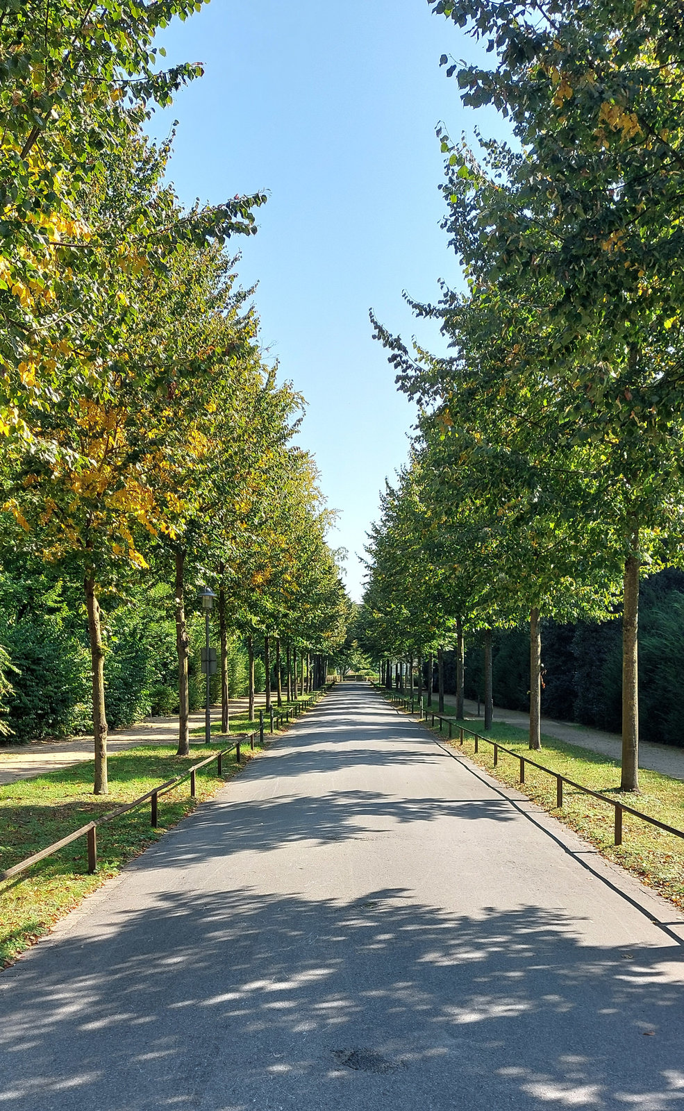 FotoMultiWide1-Muenster-3