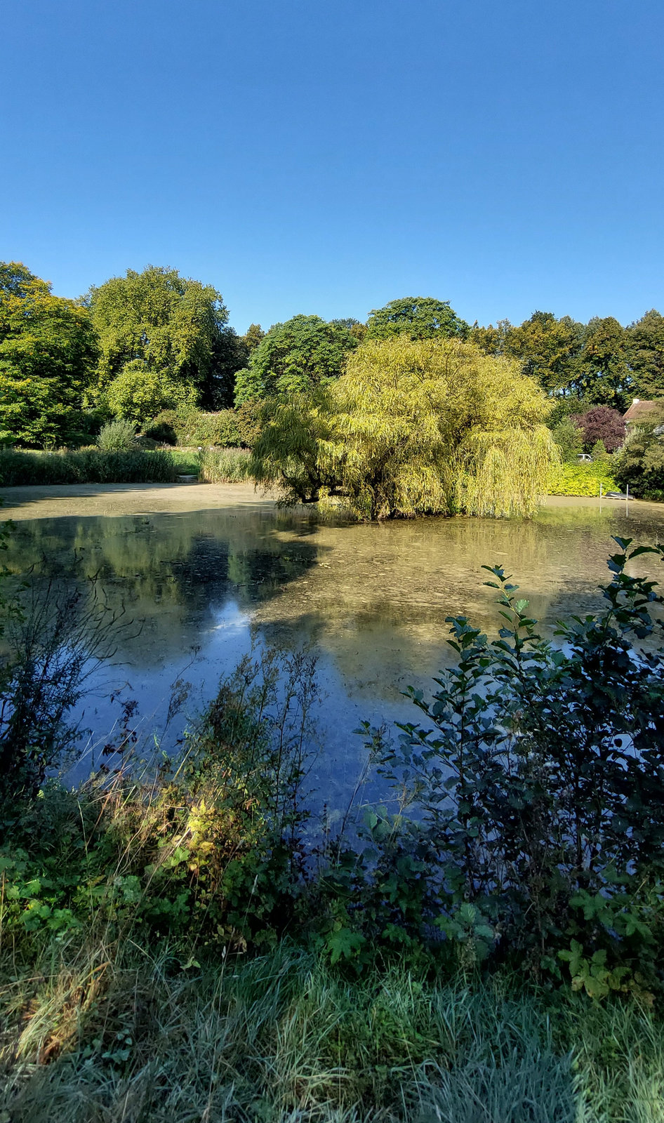 FotoMultiWide1-Muenster-4