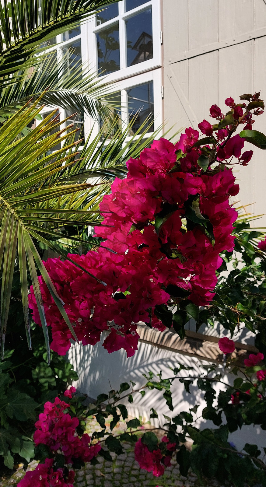 FotoMultiWide1-Muenster-5