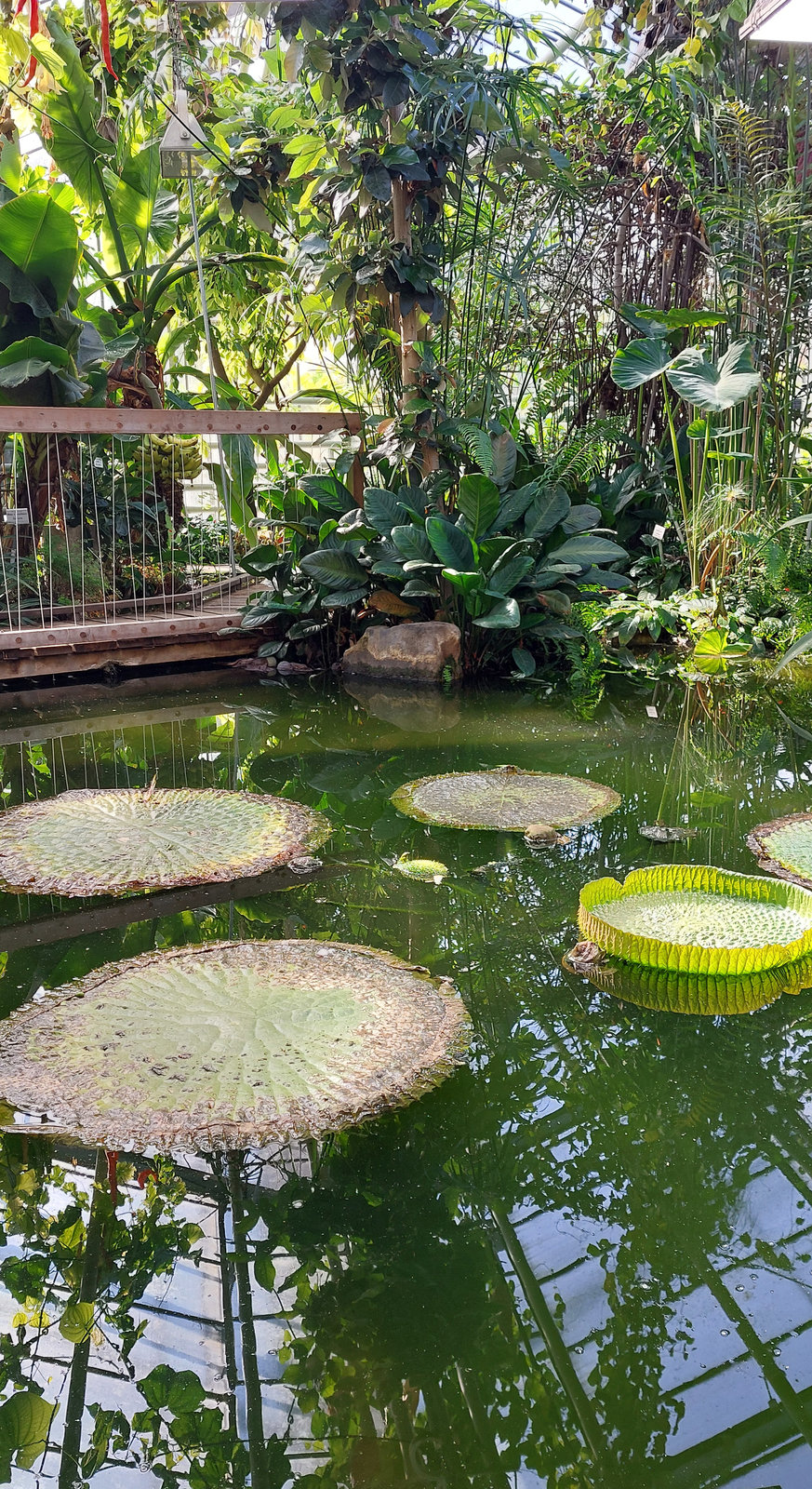 FotoMultiWide1-Muenster-9