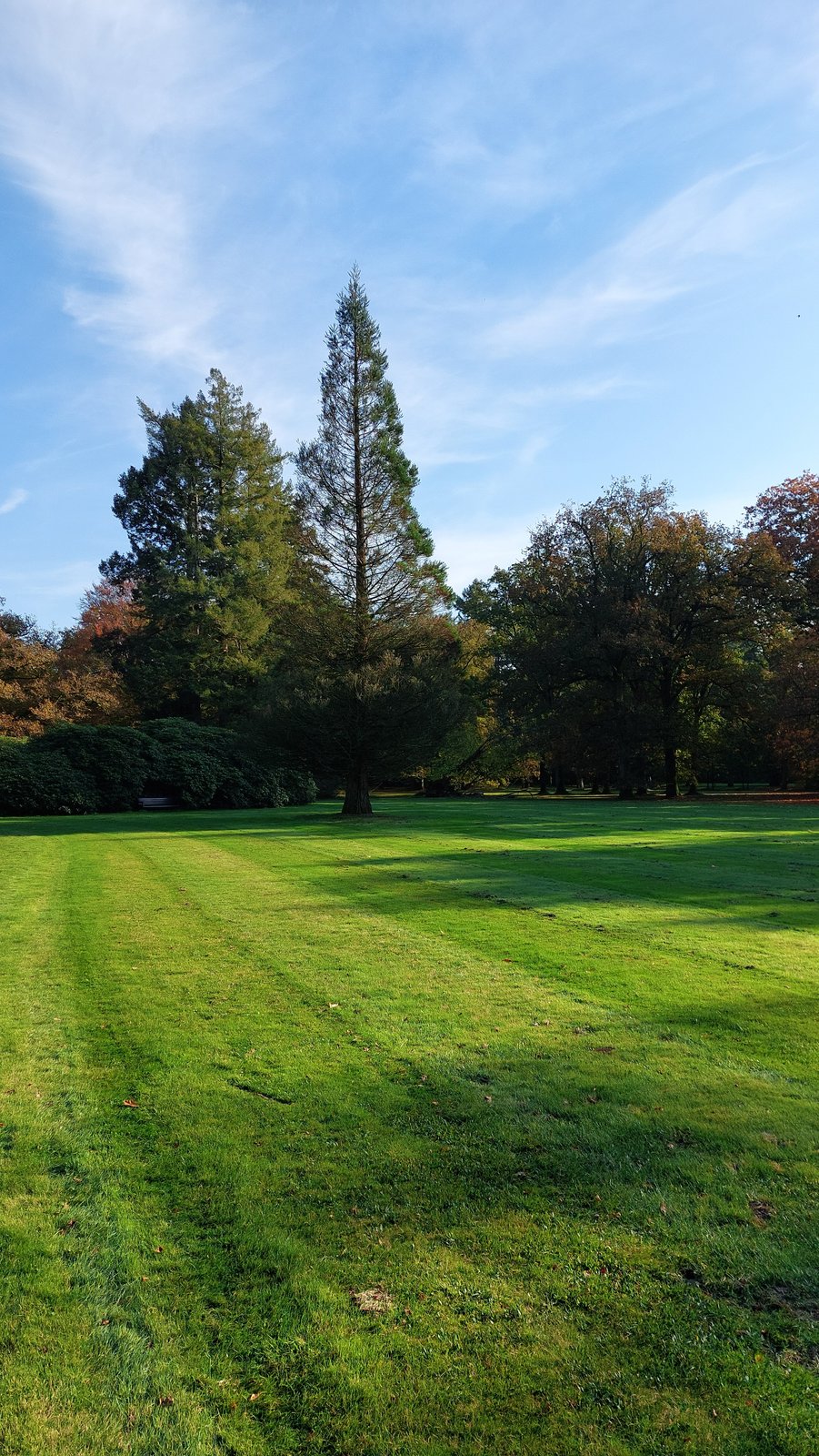 FotoMultiWide1-Het-Loo-11