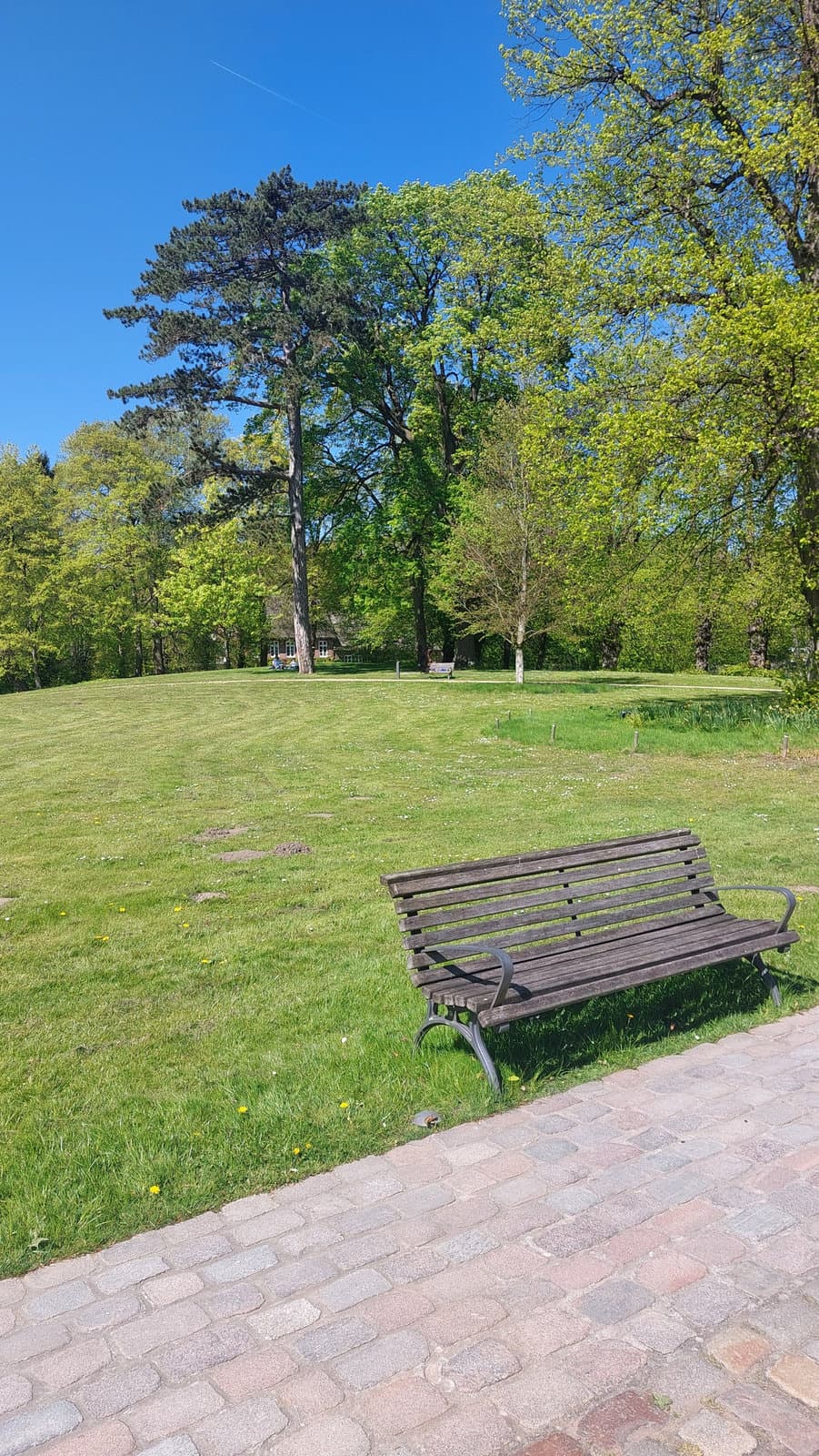 FotoMultiWide1-Ahrensburg-04