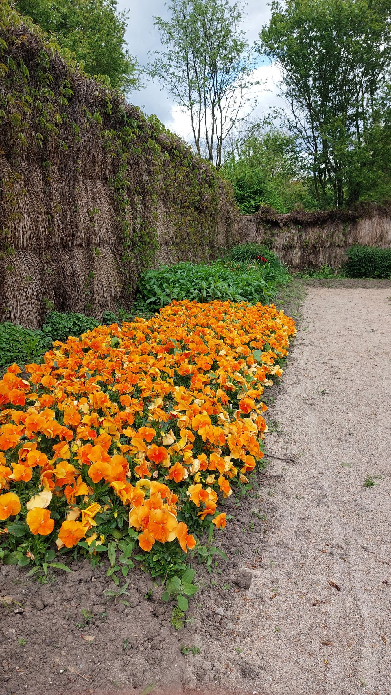 FotoMultiWide1-Nolde-14