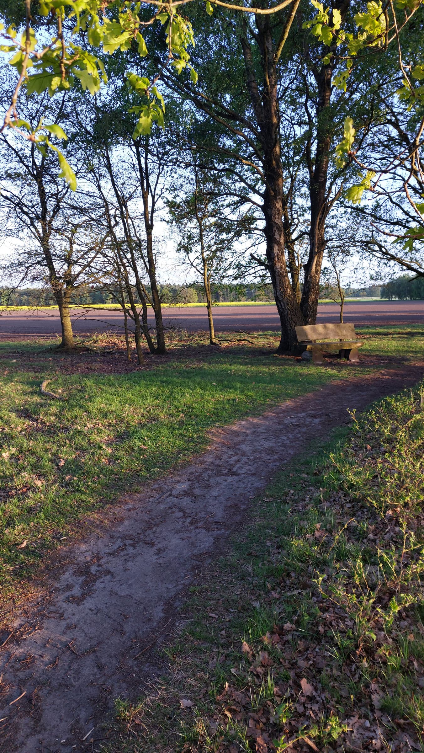 FotoMultiWide1-Pestrup-1