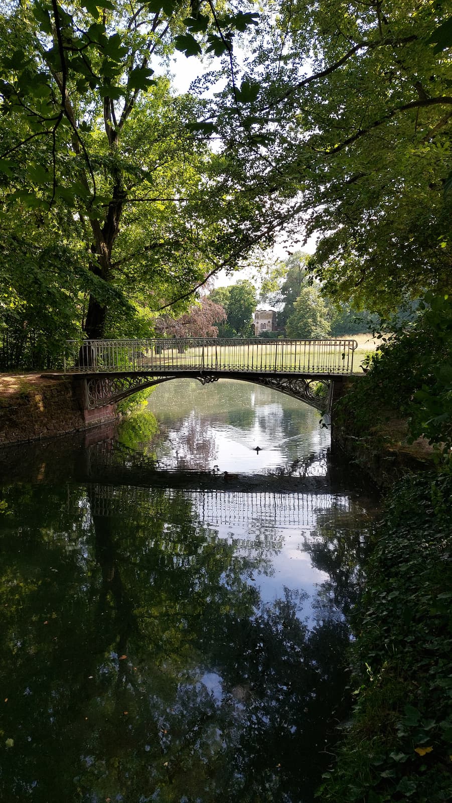 FotoMultiWide1-Herrnsheim-03